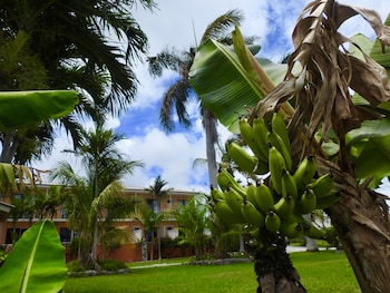 Orange Hill Beach Inn,Cable Beach>>Bahamas,3 star