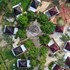 s hotel and resort