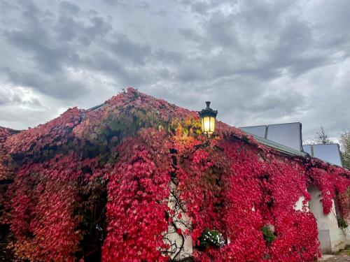 hotel residence la rubanerie