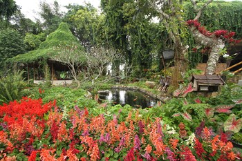 phu chaisai mountain resort