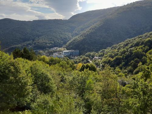 inegol
