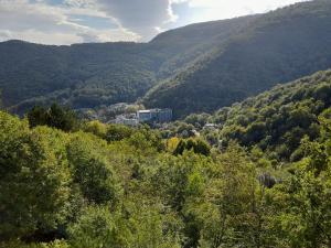 inegol