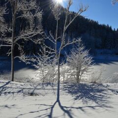 matrei am brenner