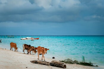 jsk mantanani island resorts