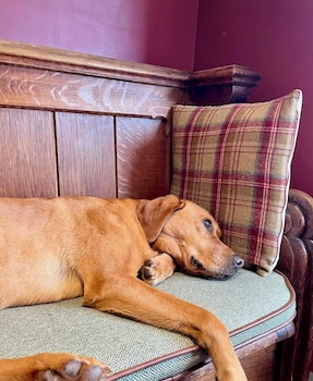 The Baiting House And Lodges,,4 star