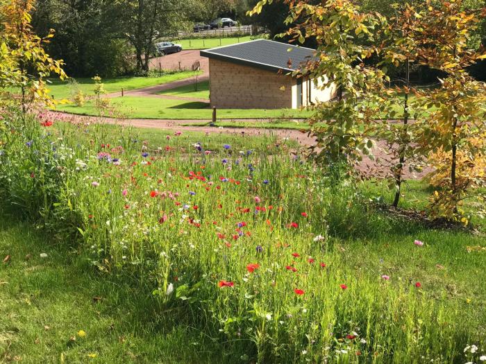 the baiting house and lodges