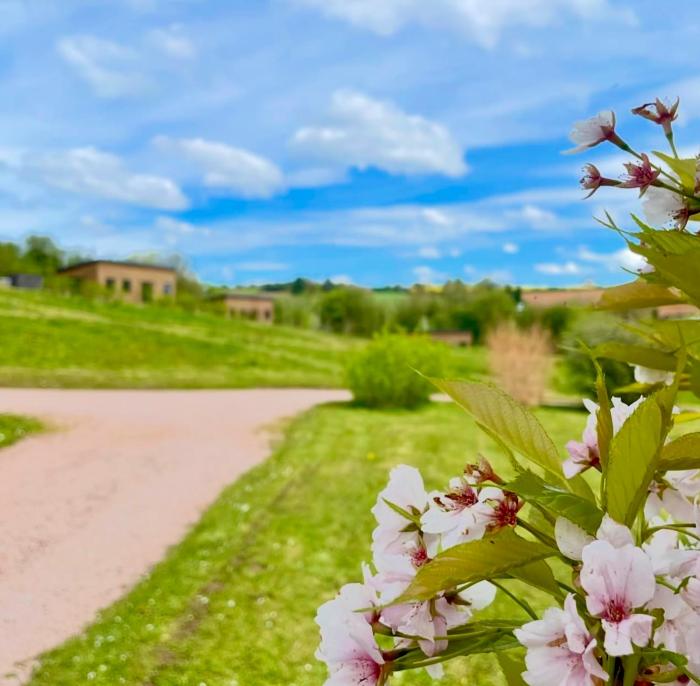 the baiting house and lodges