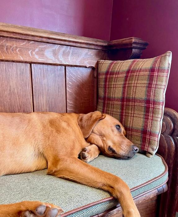 the baiting house and lodges