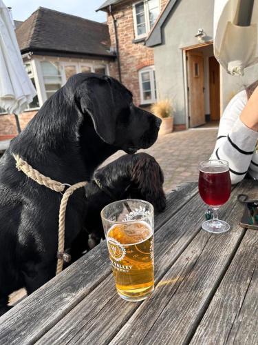 the baiting house and lodges