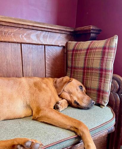 the baiting house and lodges