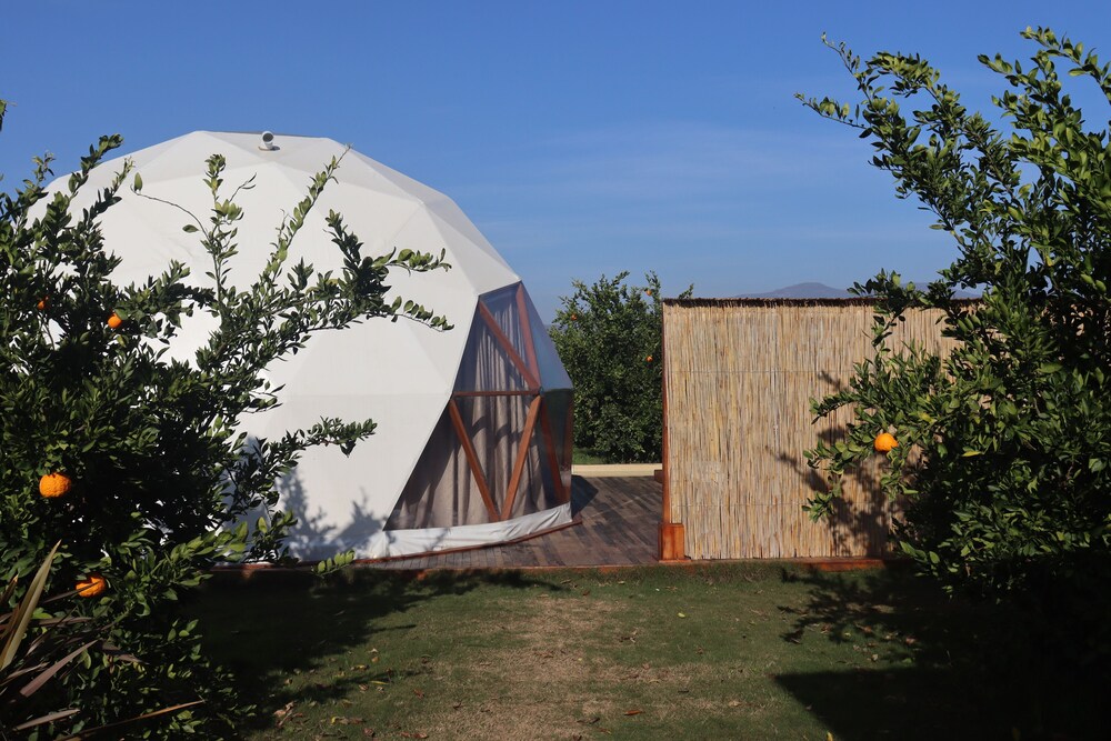 mandalin glamping