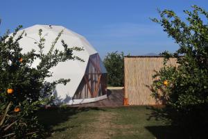 mandalin glamping