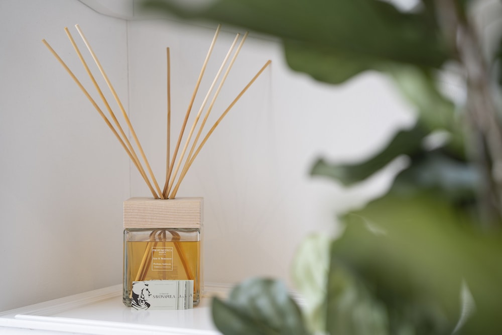 le stanze del savonarola