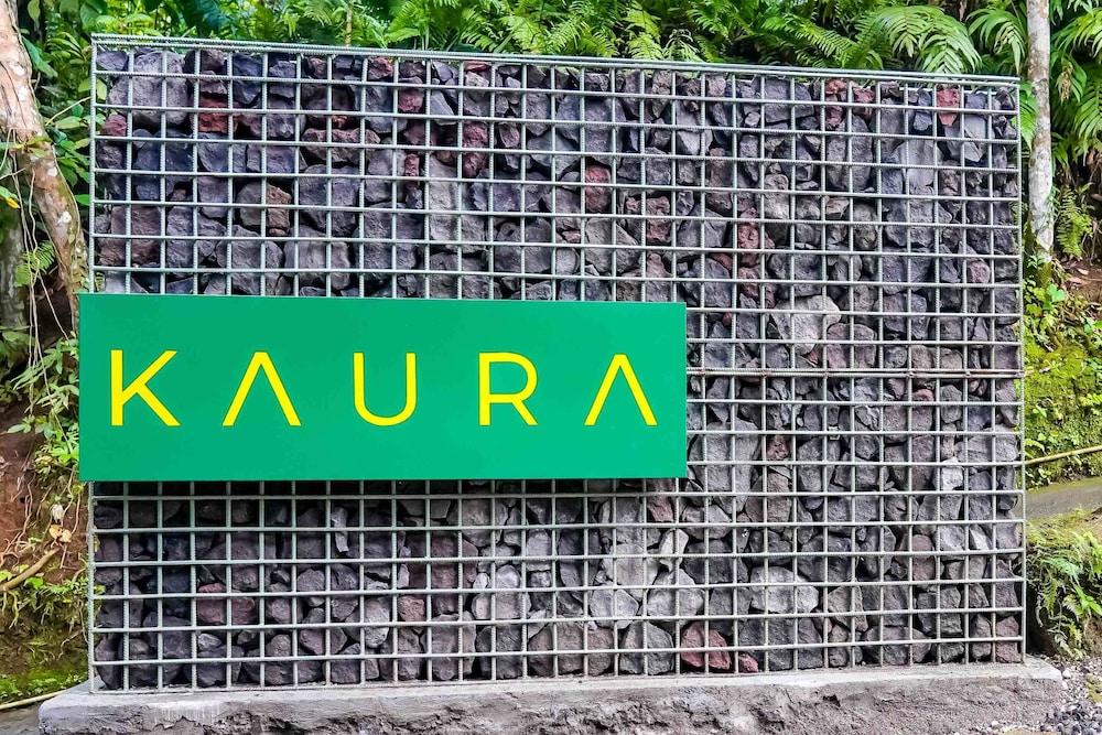kaura bali