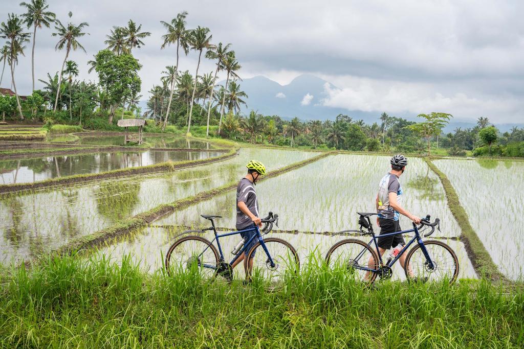 kaura bali