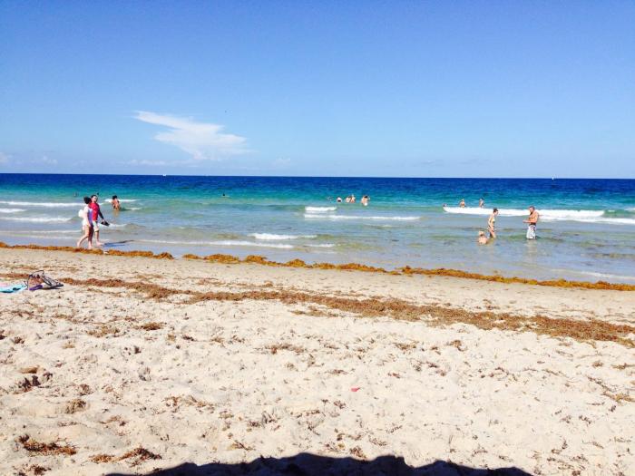 lauderdale by the sea