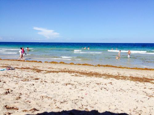 lauderdale by the sea