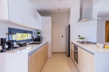 elegant and spacious penthouse with ocean view