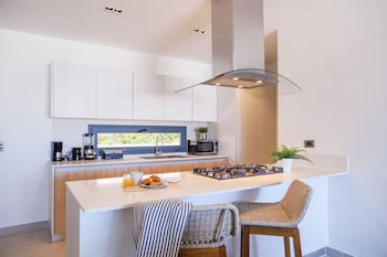 elegant and spacious penthouse with ocean view