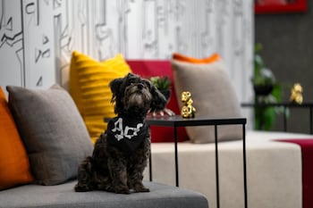 aloft new york chelsea