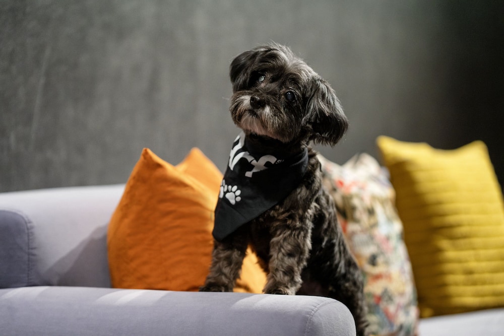 aloft new york chelsea