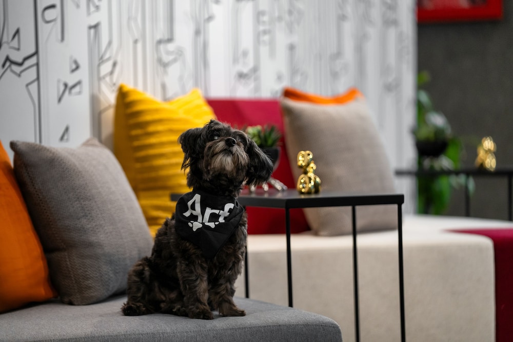 aloft new york chelsea