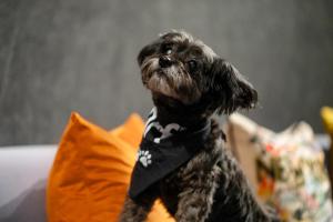 aloft new york chelsea