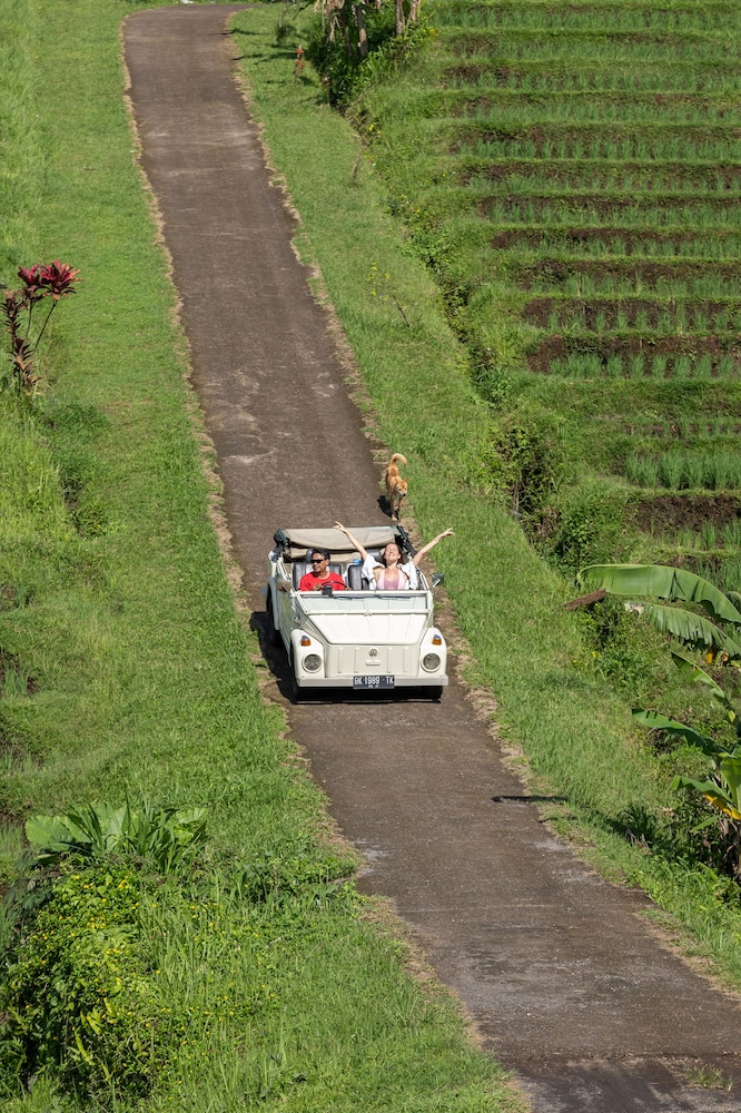 amarta camping and recreation by madhava