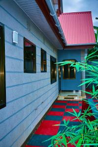 safari park house