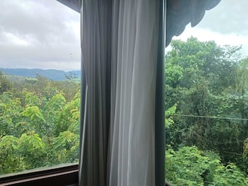 pousada canto da lua macacos