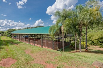 sao francisco de paula