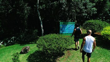 sao francisco de paula