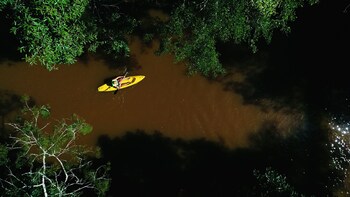 sao francisco de paula