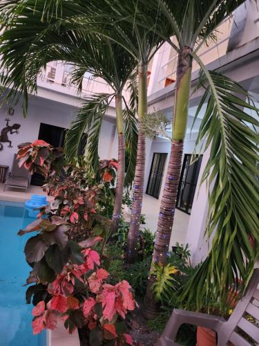 caye caulker