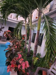 caye caulker