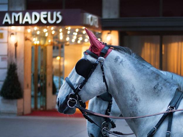 amadeus