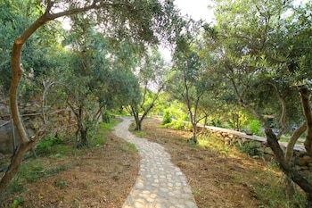 ikaria
