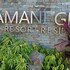 condo stay very near mactan airport