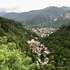 borjomi