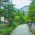 holiday borjomi
