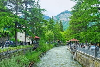 holiday borjomi