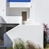 camarades mykonos