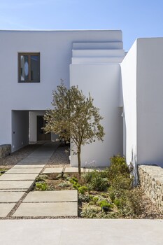 camarades mykonos