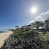 waialua