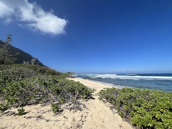 waialua