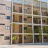 soho apartments