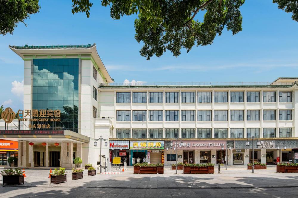 white swan guest house