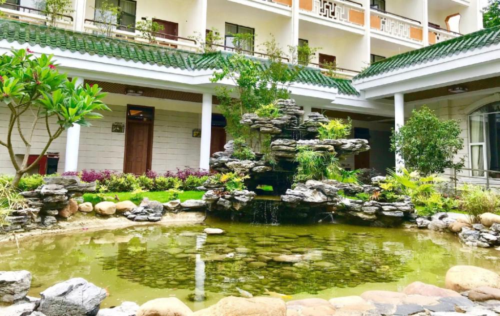 white swan guest house