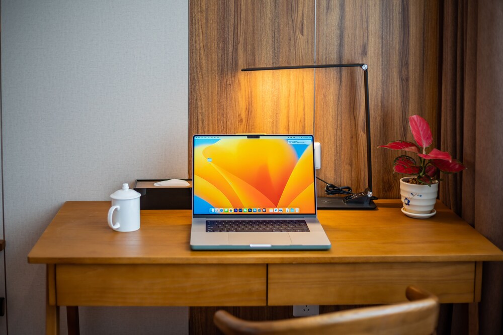 white swan guest house