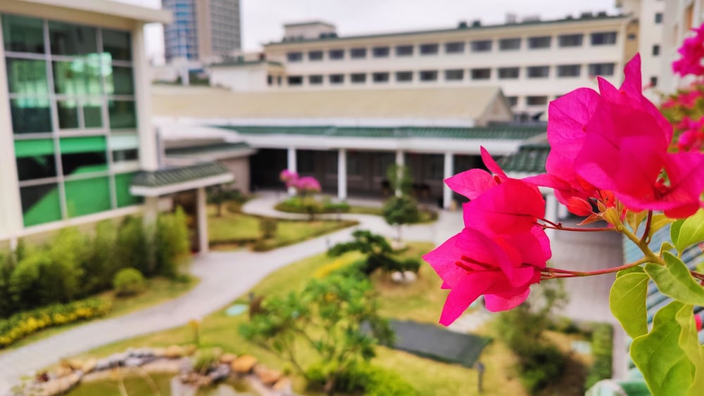 white swan guest house